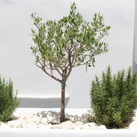 Daire Swell S2 Maisonette With Private Jacuzzi In