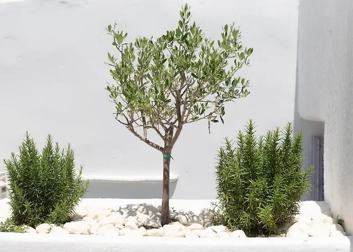 Apartment Swell S2 Maisonette With Private Jacuzzi In